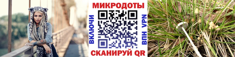 ОМГ ОМГ ТОР  Далматово  Галлюциногенные грибы мицелий  магазин продажи  